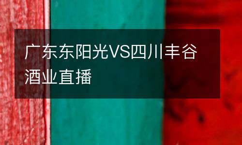 廣東東陽光VS四川豐谷酒業(yè)直播