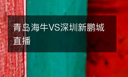 青島海牛VS深圳新鵬城直播