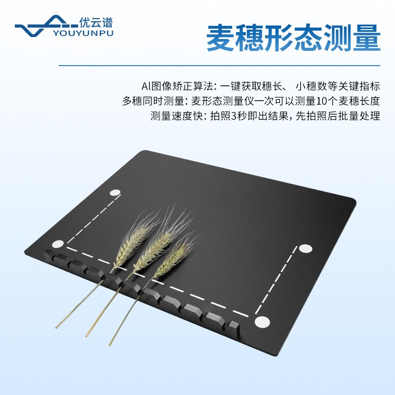 小麥畝穗數測量分析系統