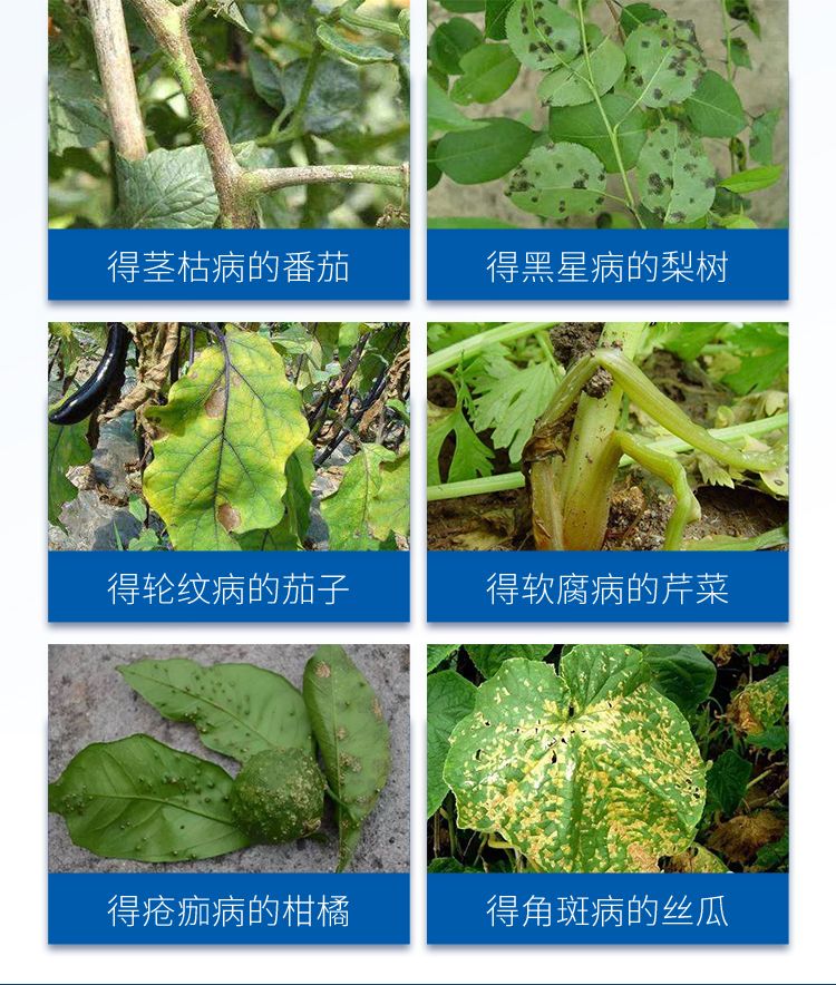 詳情_(kāi)04_750x884